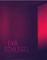 Eva Schlegel
