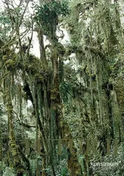 Thomas Feuerstein FUTUR II