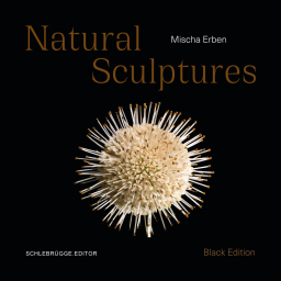 Mischa-Erben_Natural-Sculptures